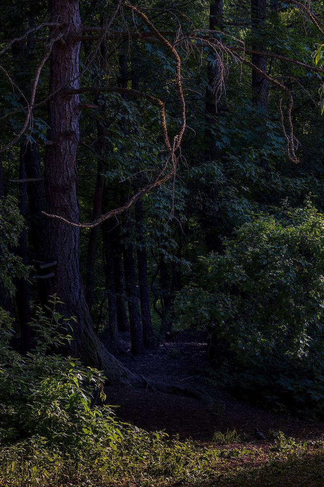 Photograph by Михаил Мак