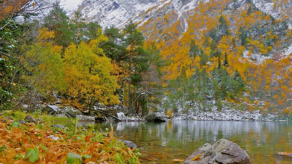 Photograph by Михаил Ступников