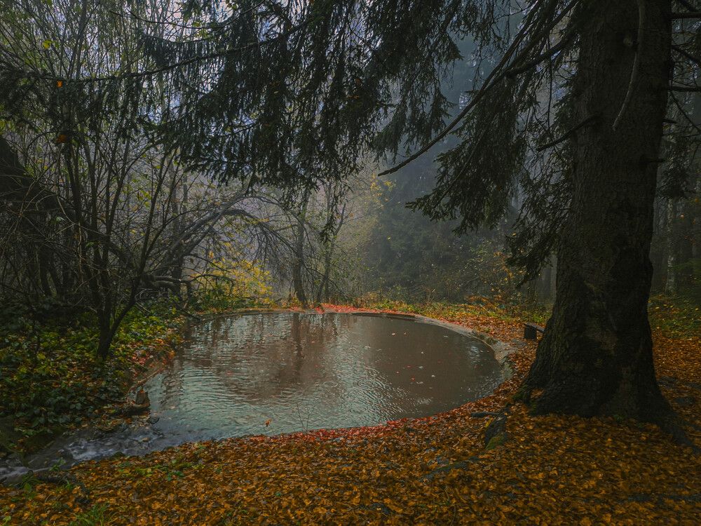 Photograph by Николов Андриян