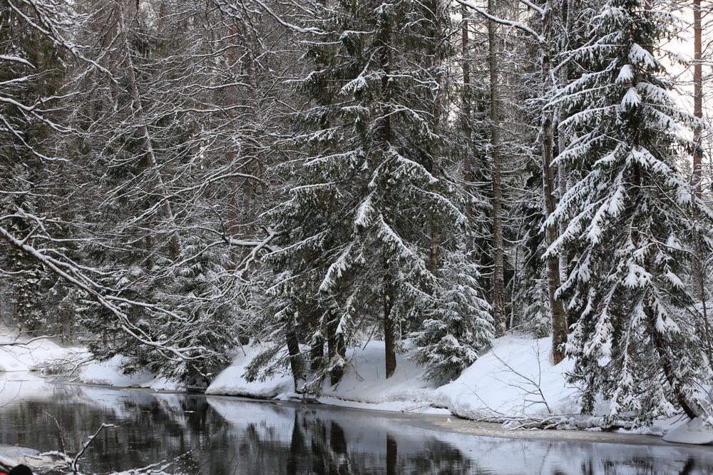 Photograph by Унку Юрий