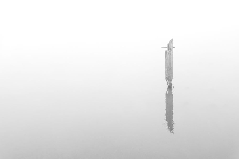 Фотография автора Ирина Гриценко