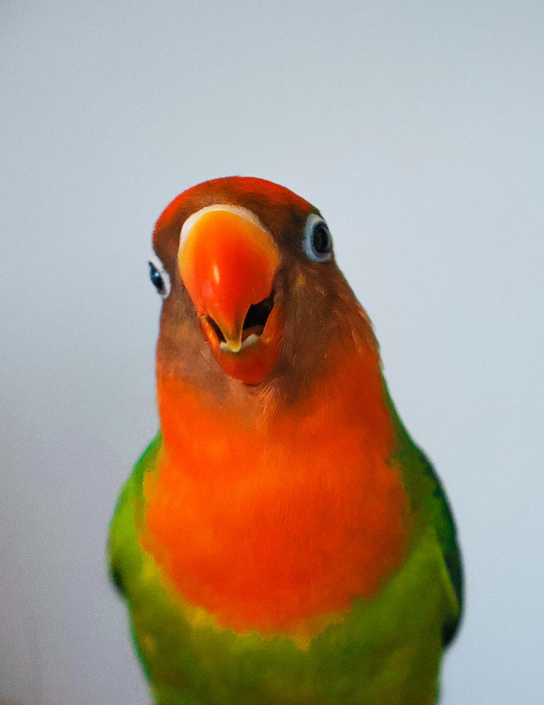 Photograph by Юлия Галкина