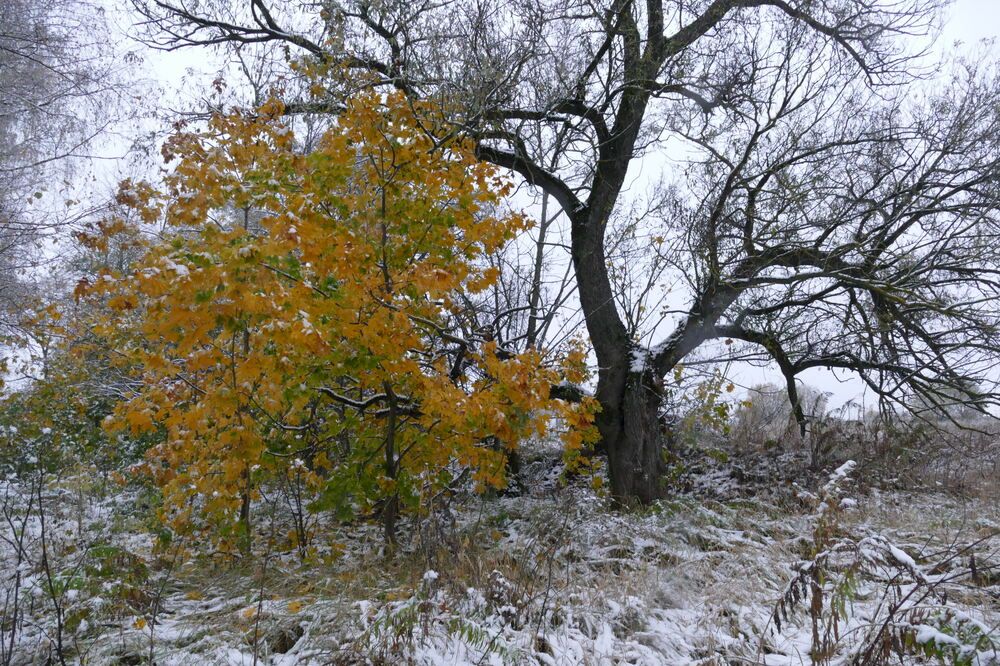 Photograph by Anastasia Perez