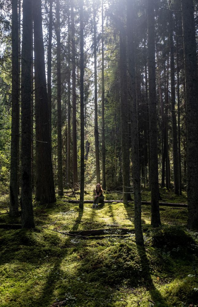 Photograph by Светлана Бурятинская