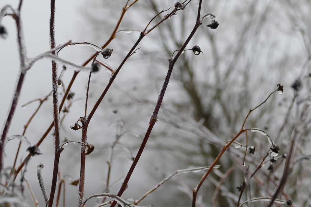 Photograph by Anastasia Perez