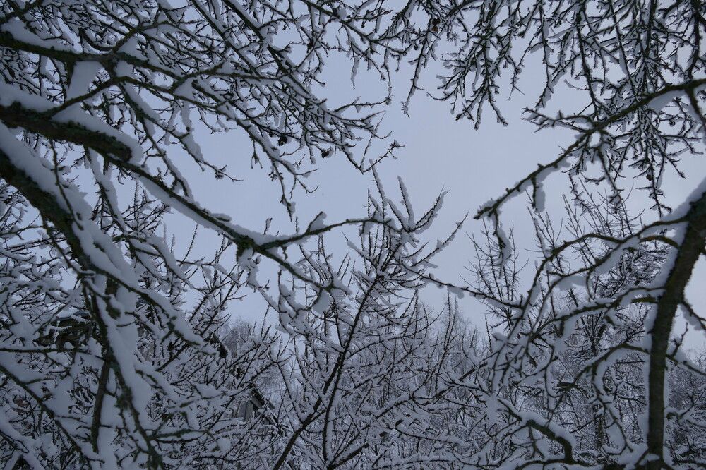 Photograph by Anastasia Perez