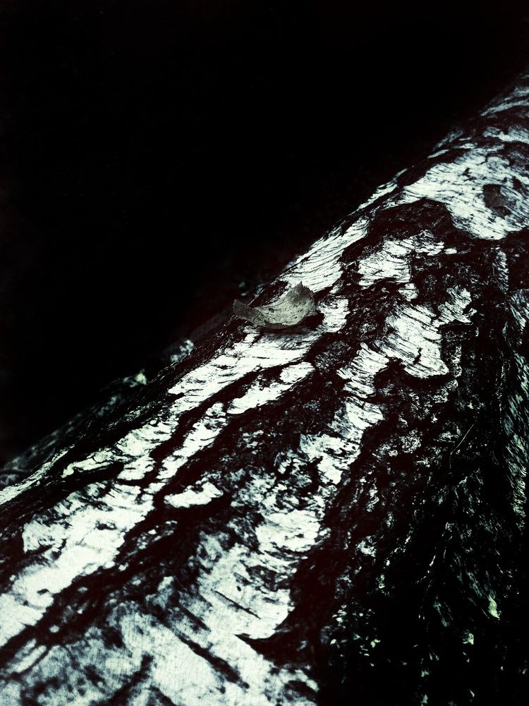 Photograph by Людмила М