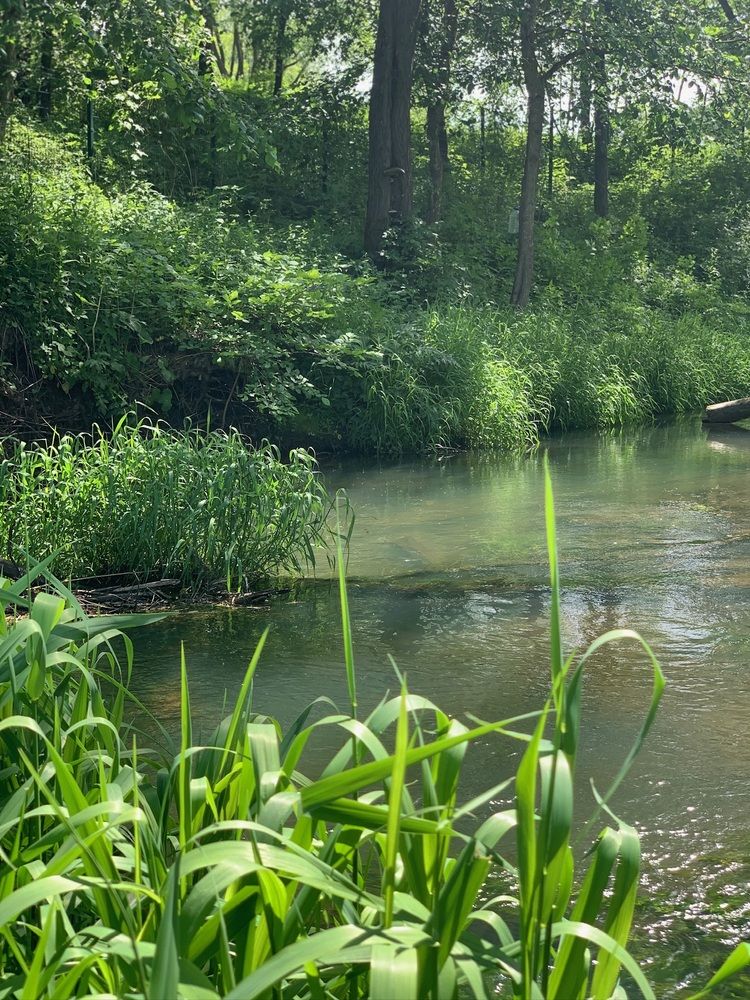 Фотография автора Виктория Ляпина