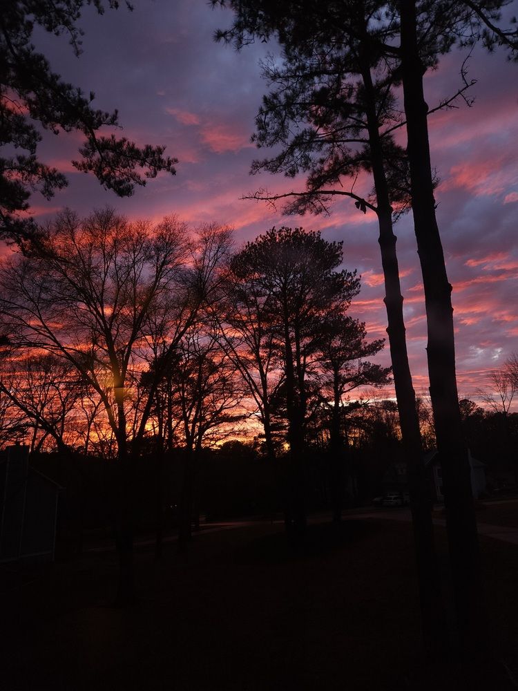 Photograph by Elena Shliachkova