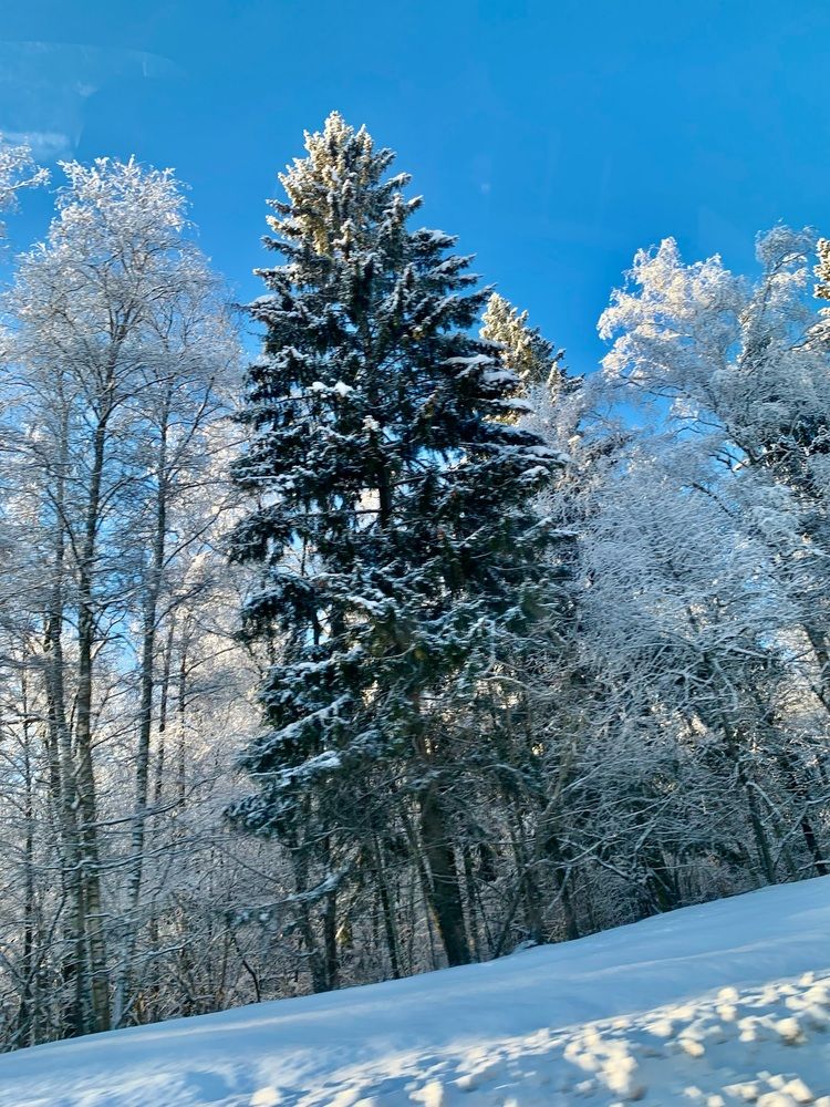 Фотография автора Виктория Ляпина