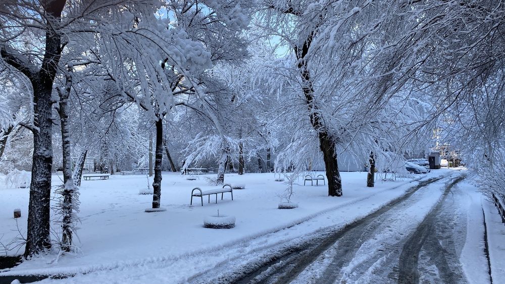 Photograph by Сергей Смирнов