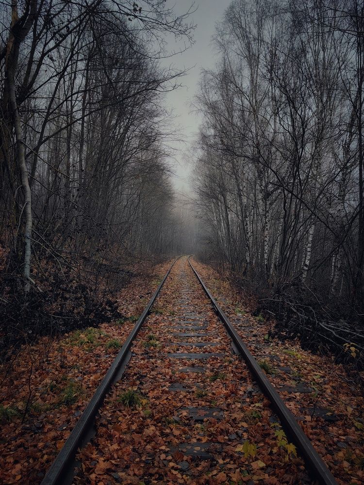 Photograph by Денис Сухов