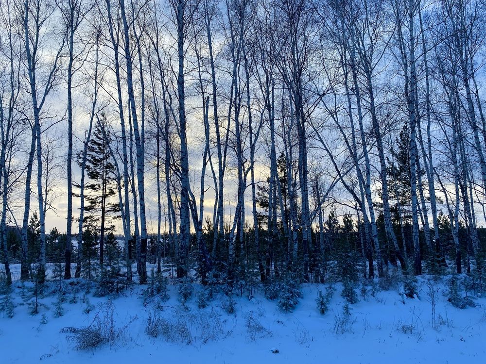 Photograph by Сергей Смирнов