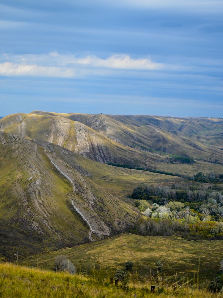 Андреевские шишки