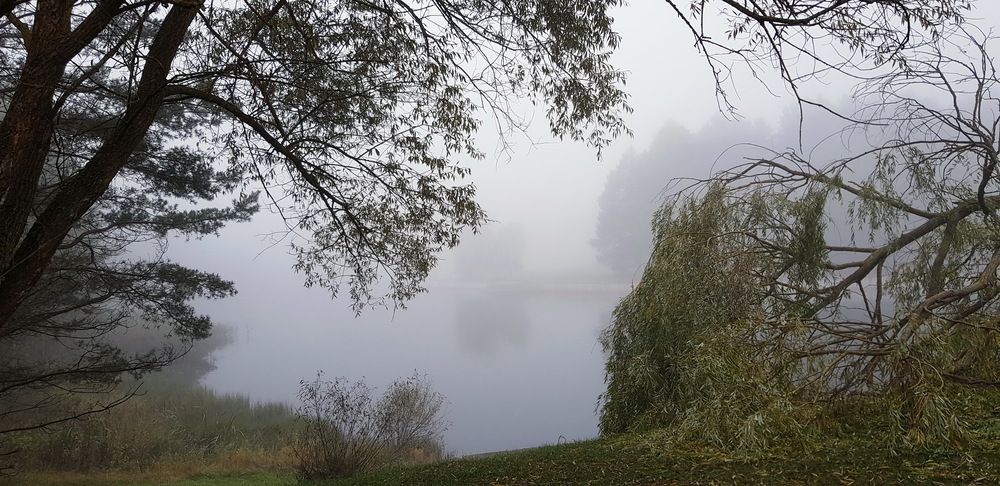 Photograph by Ivan Karavka