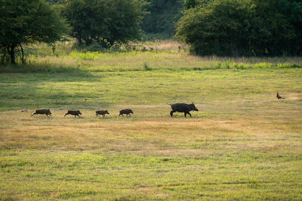 Фотография автора Mashin Rostislav