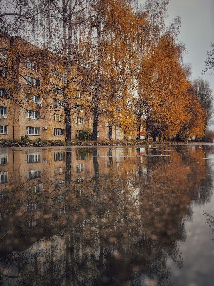 Поздняя осень