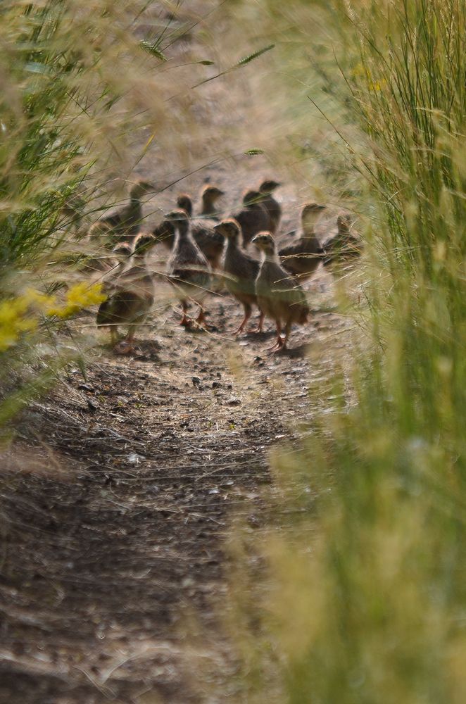Photograph by Ольга Мокрова