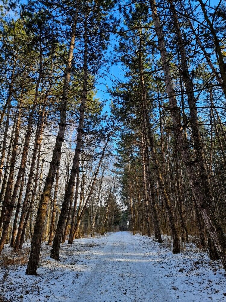 Photograph by Лидия Лащева