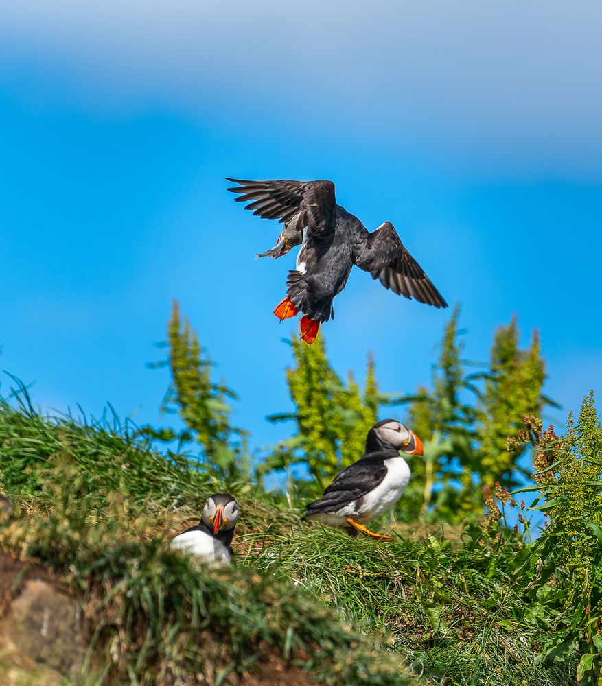 Photograph by Piotr Mickevic