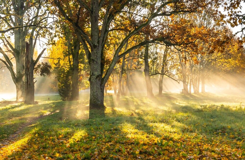 Photograph by Agita Leimane