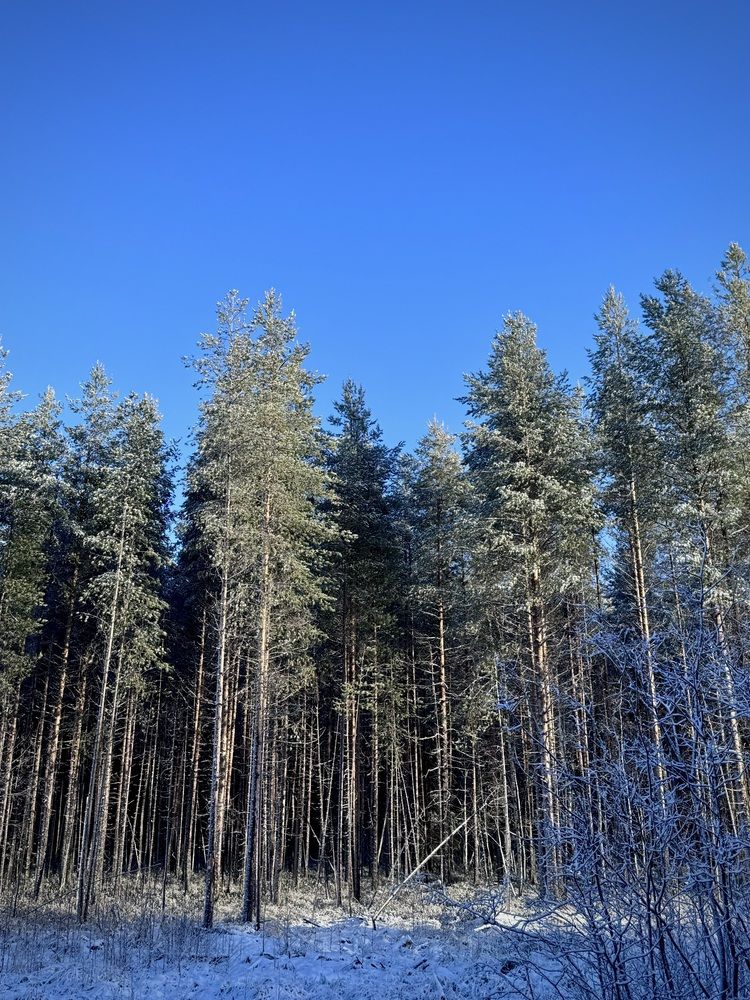 Photograph by Арина Бурда