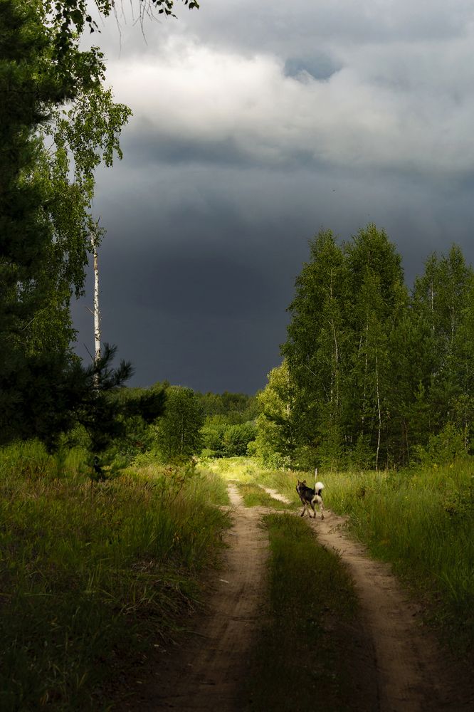 Photograph by Лев Постнов