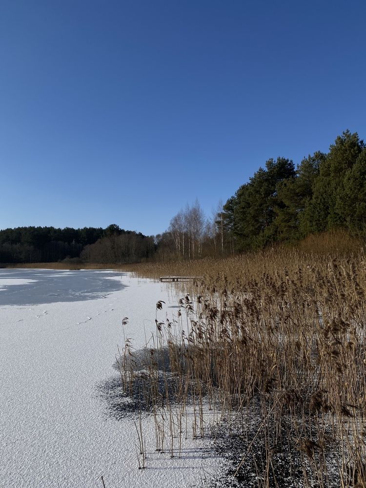 Photograph by Анна Кулакова