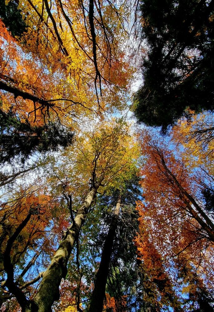 Photograph by Лидия Лащева