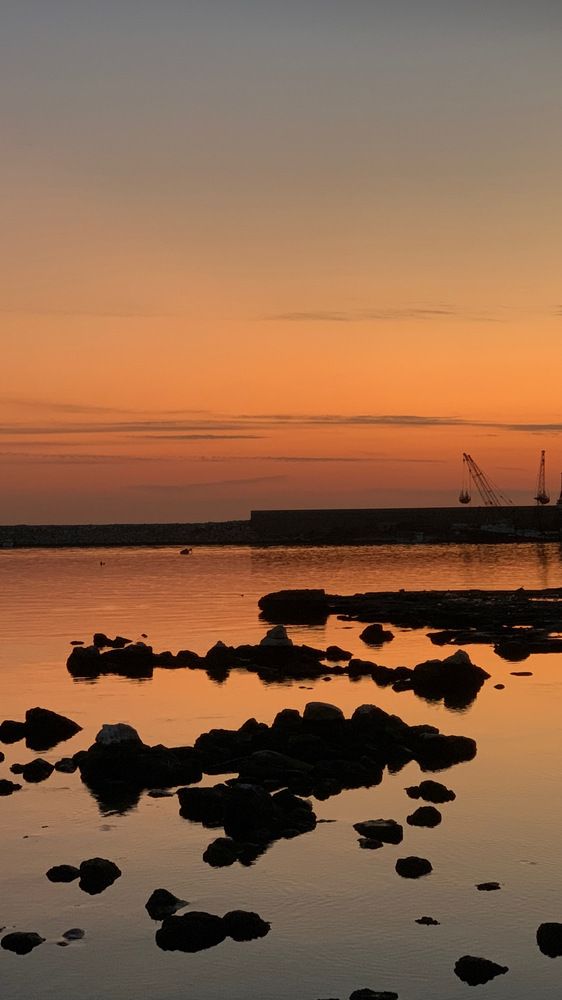 Photograph by Kate Abi Faraj