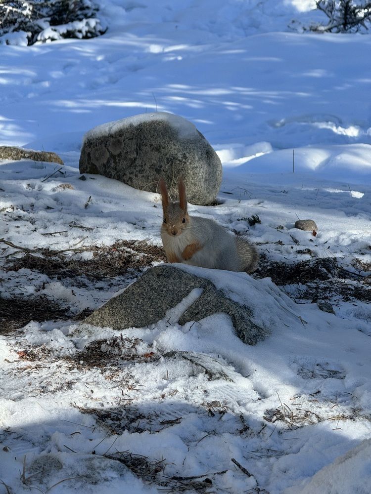 Photograph by Гулшат Оруналиева