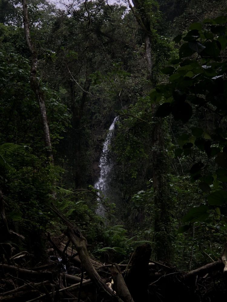 Photograph by Olarivu Sirikwa