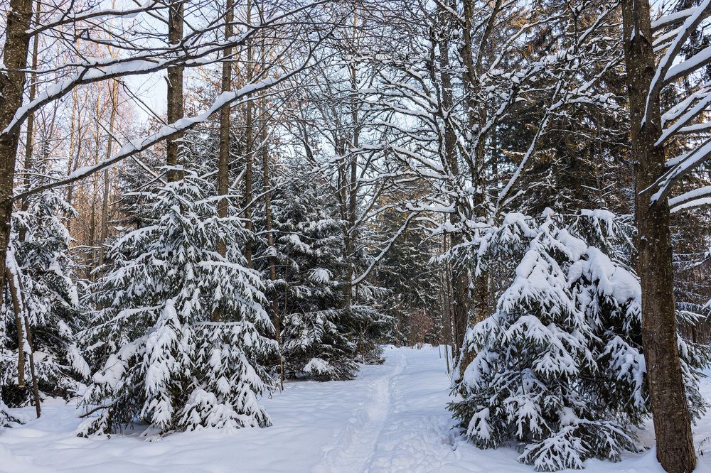 Photograph by Victor Shaposhnikov