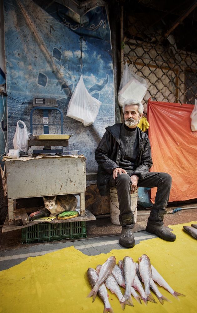 Фотография автора Hadis Rezayati