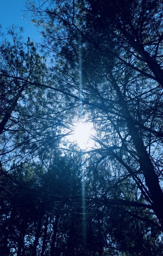 Photograph by Арина Бурда