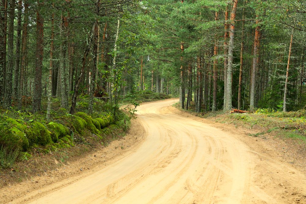 Фотография автора Юрий Киселёв