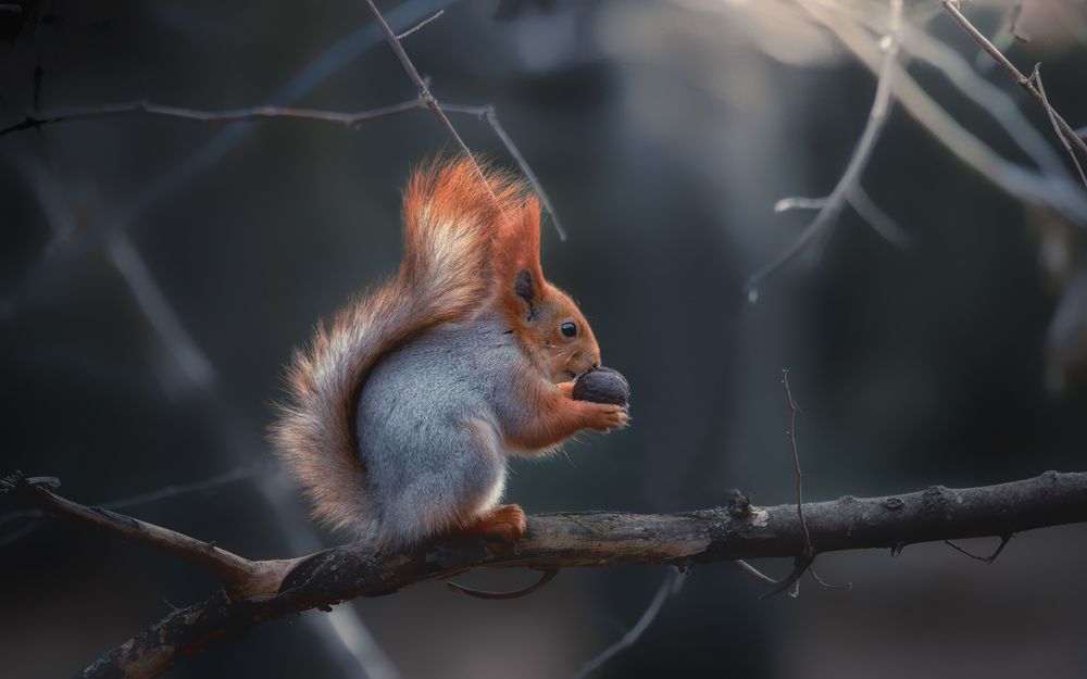 Зимняя трапеза