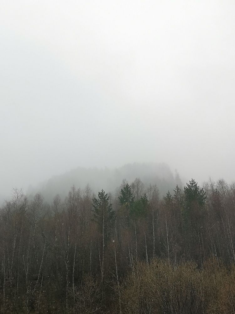 Photograph by Светлана Калагина