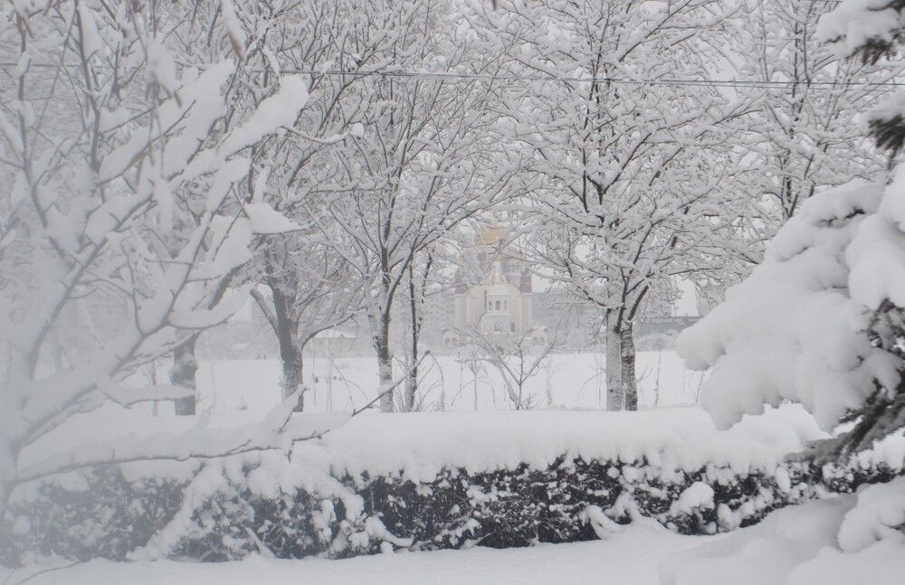 Photograph by Надежда Чаплынская