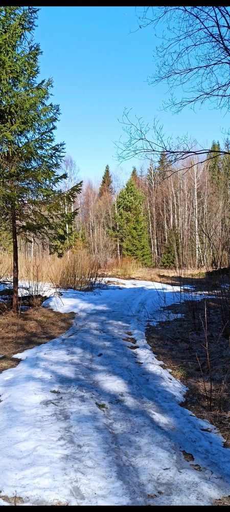 Photograph by Татьяна Исаева