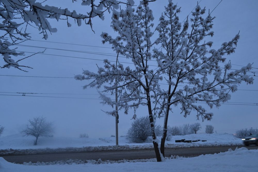 Photograph by Надежда Чаплынская