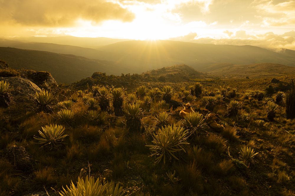 Photograph by Kevin Molano Ph