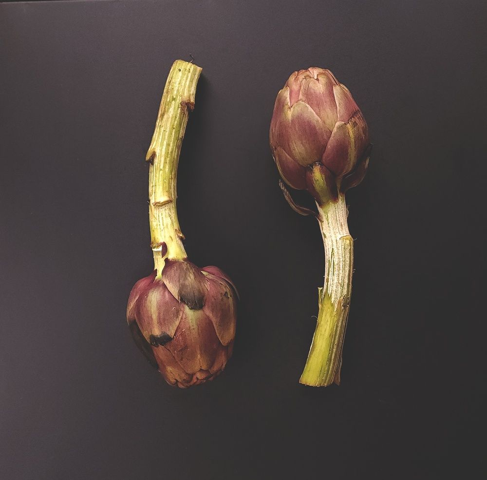 Photograph by Lera Mingova