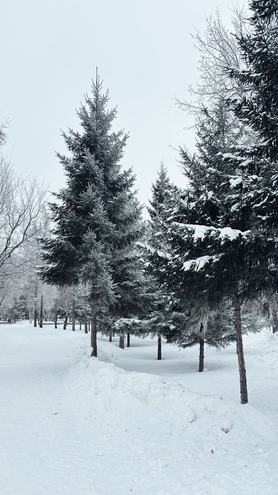 Photograph by Виталий Сидельцев