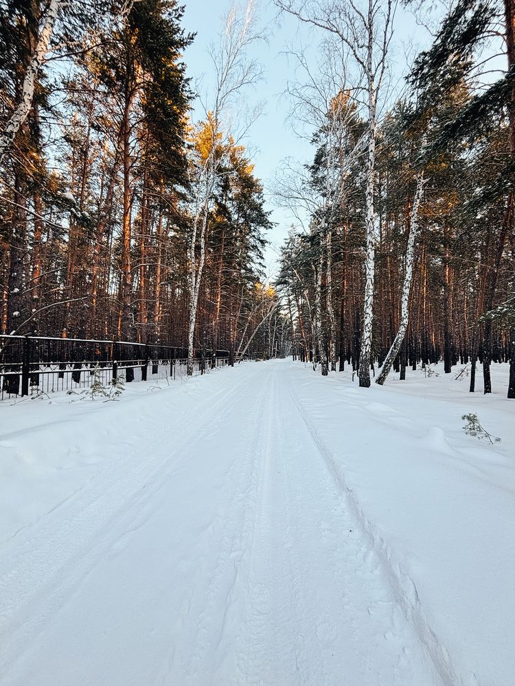 Photograph by Виталий Сидельцев