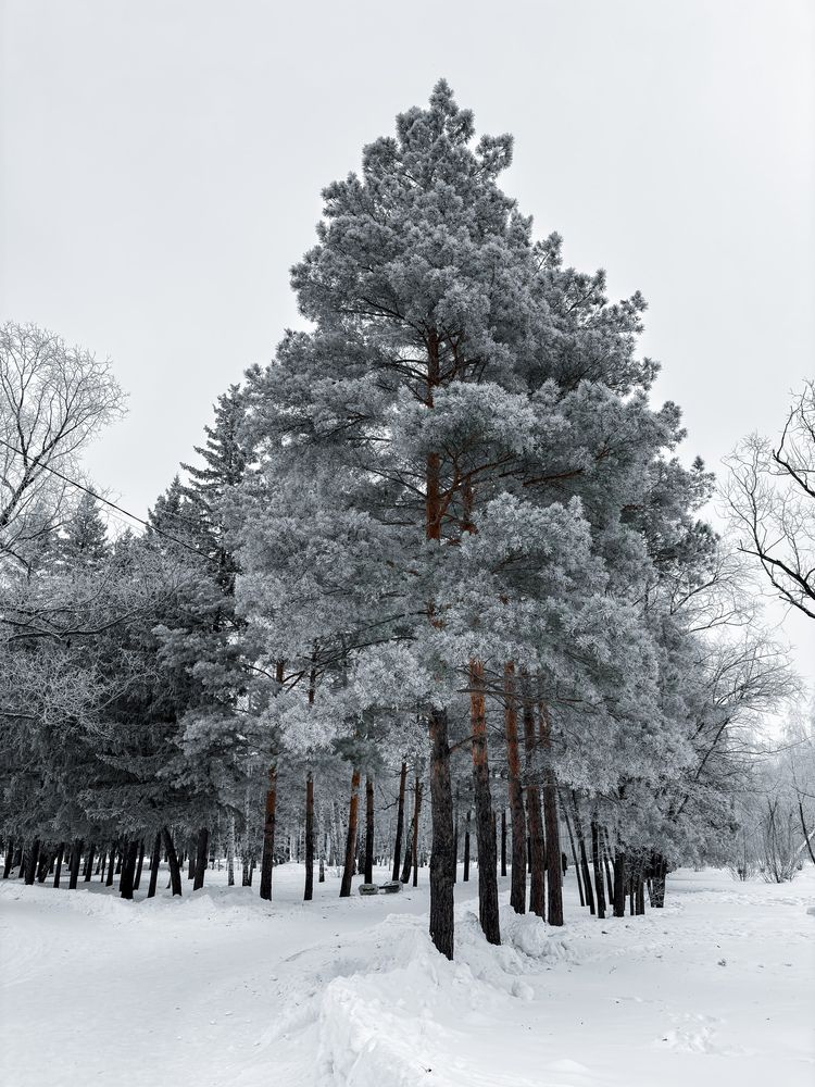 Photograph by Виталий Сидельцев