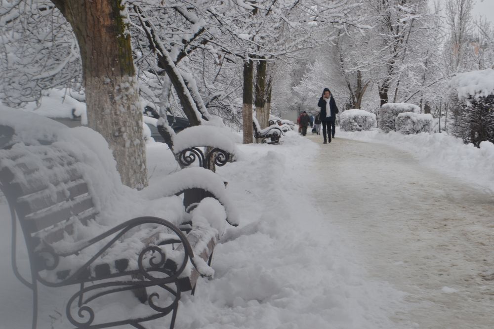Photograph by Надежда Чаплынская