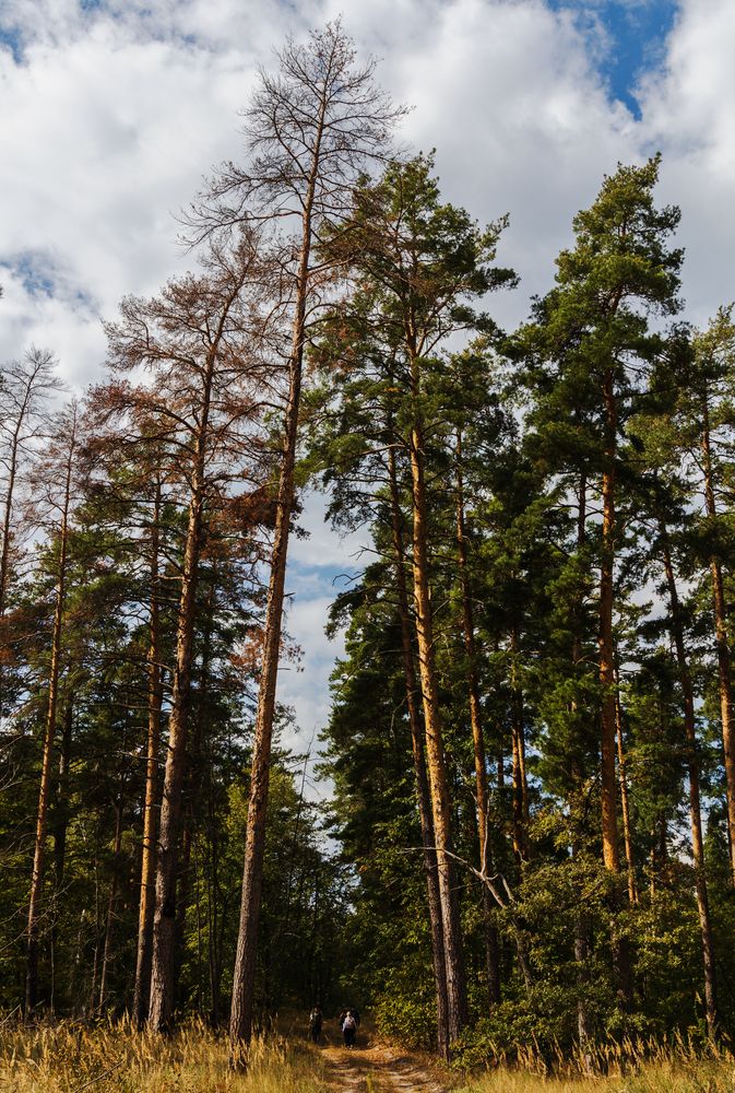 Photograph by Анна Бокова