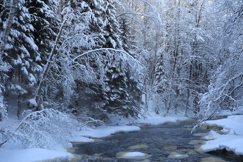 Photograph by Унку Юрий