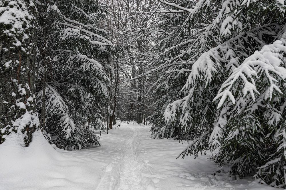 Photograph by Victor Shaposhnikov